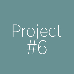 Project 6